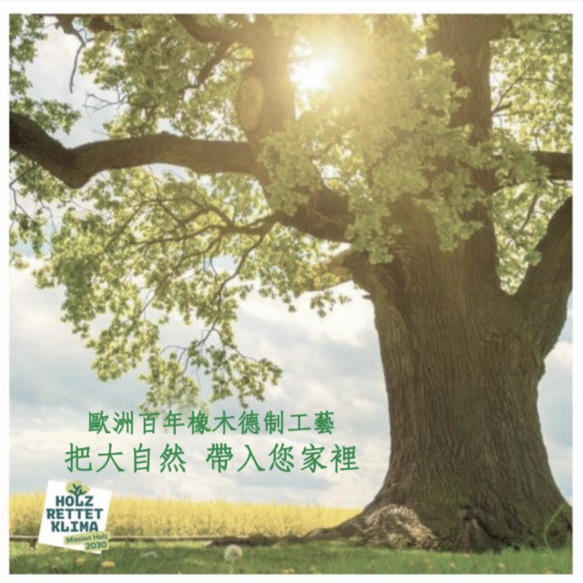 展場資訊-HARO漢諾木地板｜歐洲百年橡木德制工藝-把大自然-帶入您家裡S1